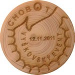 924. CWG-? CHOBOT