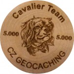 341. CWG-? Cavalier Team
