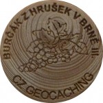 318. CWG-? BURÄŚĂK Z HRUĹ EK V BRNÄš III.